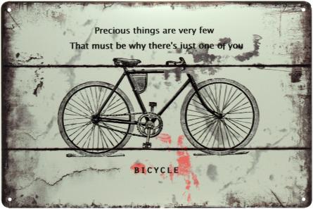 Велосипед (Драгоценная Вещь) / Bicycle (ms-00551) Металлическая табличка - 20x30см