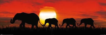 Закатные Слоны / Sunset Elephants (ps-002574) Постер/Плакат - Узкий (30x91.5см)